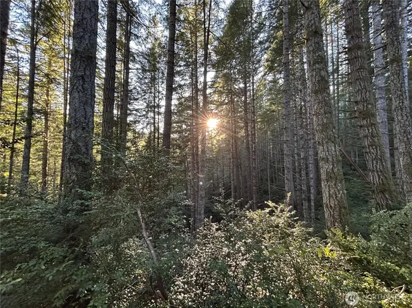 0 Foley Lane NW, Seabeck, WA 98380