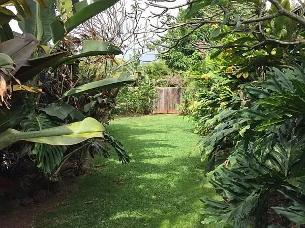 2 bed, 1000 sqft, $4,000 — Photo 4