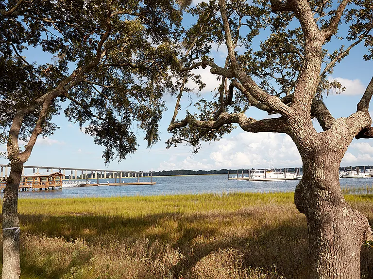 Discover Daniel Island's natural charm