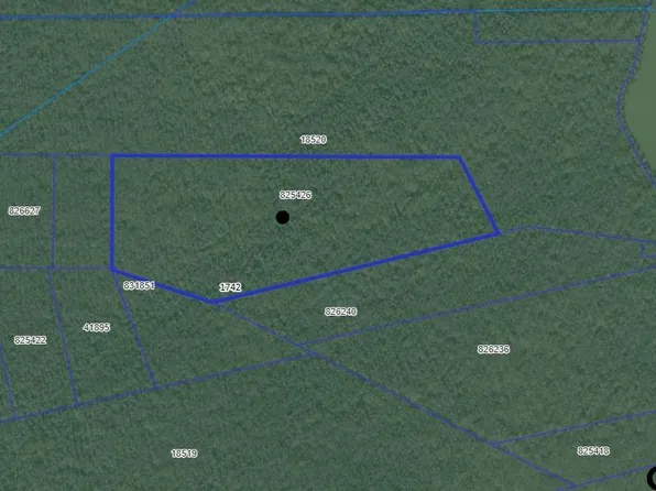 Private Road 6903, Palestine, TX 75803