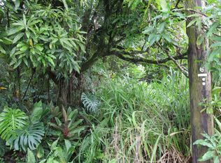 LOT 74 Eight, Hilo, HI 96720
