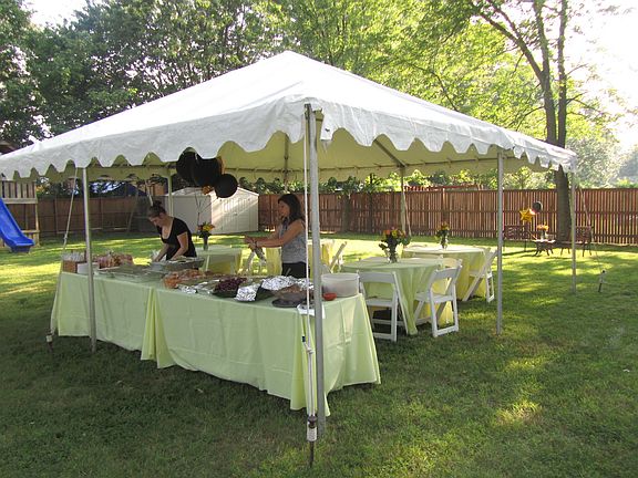 Party in Large Backyard