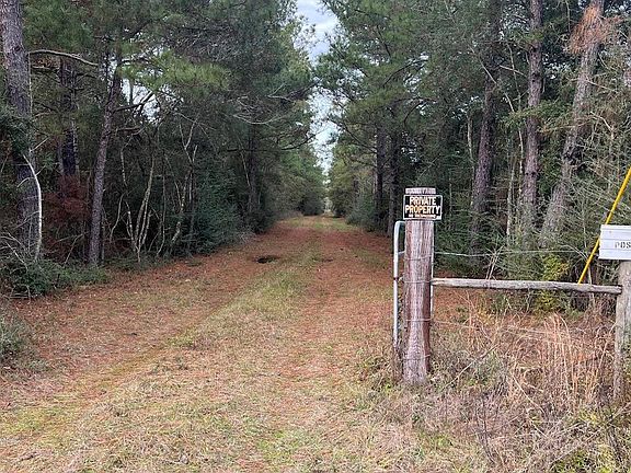 5th image of Rutherford Rd