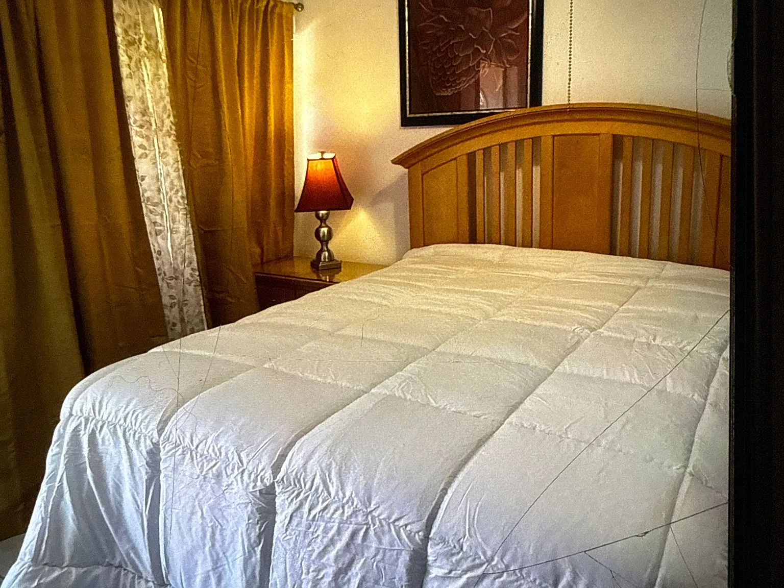 1 bed, $1,150 — Photo 3