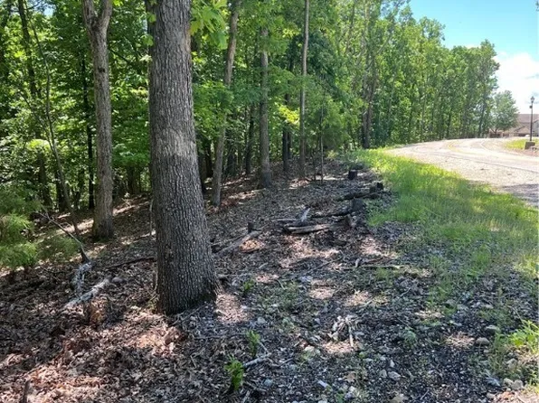 Bluewater Ct, Lake Ozark, MO 65049