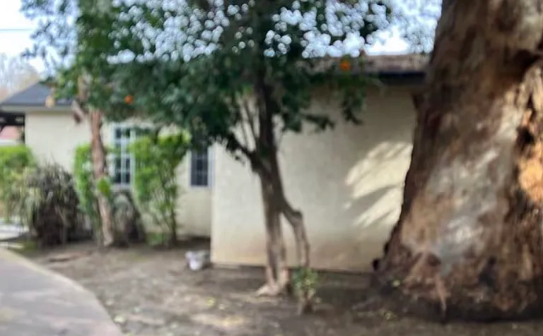 Donna Ave — Photo 1
