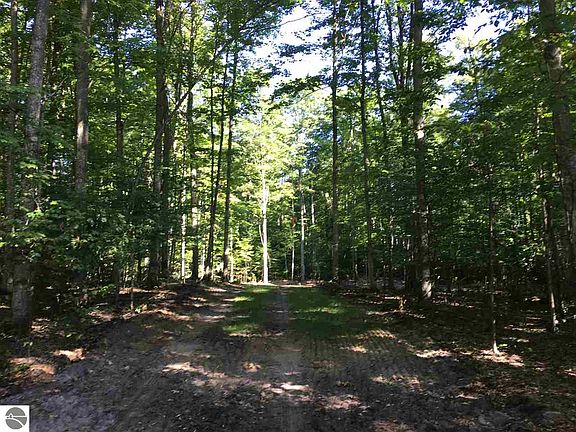 4th image of Black Walnut Ln