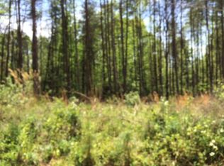 73 Dodson Rd, Bassett, VA 24055