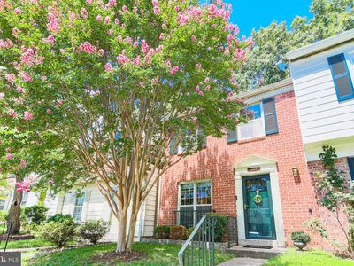 6566 Yadkin Ct, Alexandria, VA, 22310