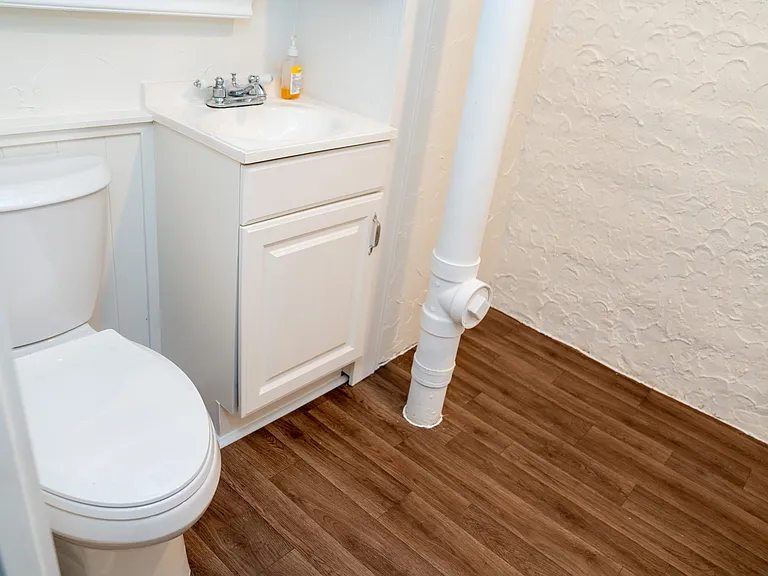 lower level bathroom