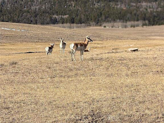 4th image of 3 Ranch LOT 3