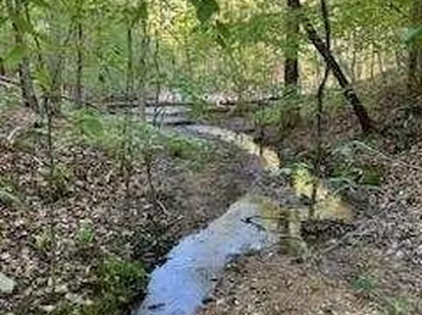 0 Browning Rd, Rockmart, GA 30153