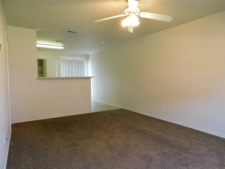 308 Creek St #D — Photo 5