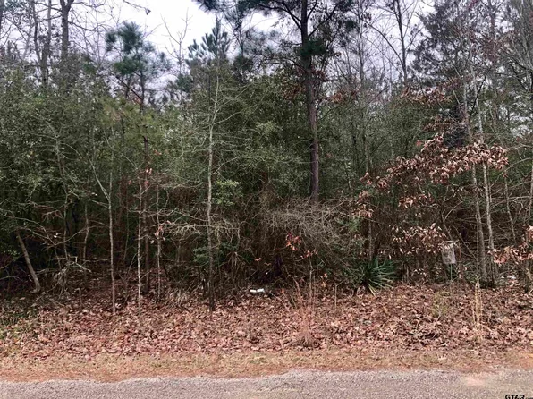 Moose Rd, Winnsboro, TX 75494