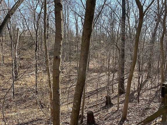 Valley view/ creek bed 