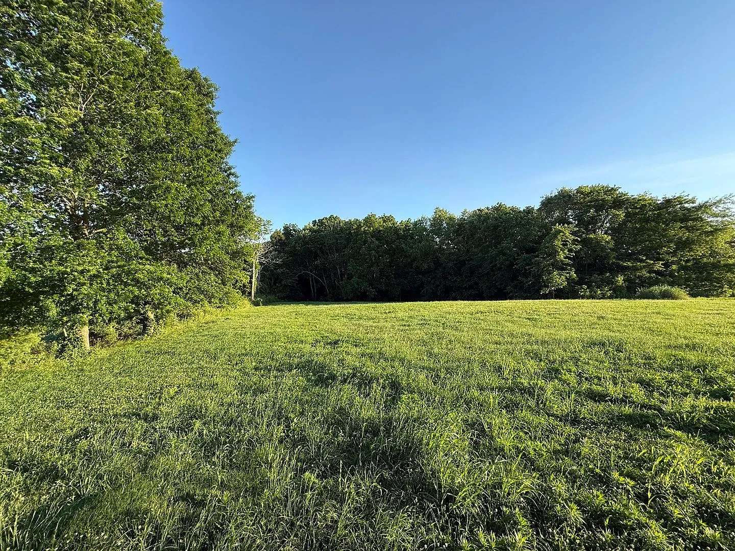 1397 Watts Rd Trenton, KY — Photo 3