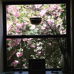 Rented by Lucien Perry