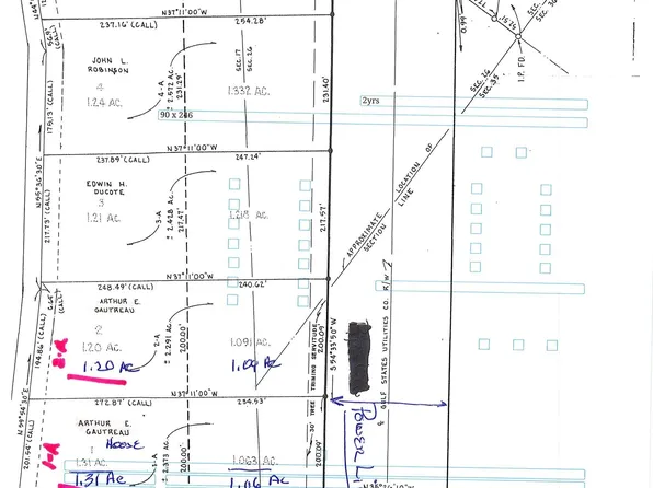 7370 Bayou Paul Rd, Saint Gabriel, LA 70776