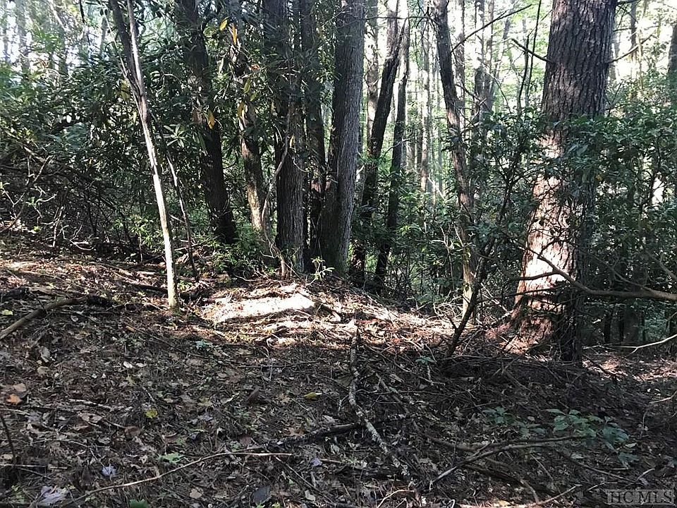 2nd image of 228 Hemlock Ln