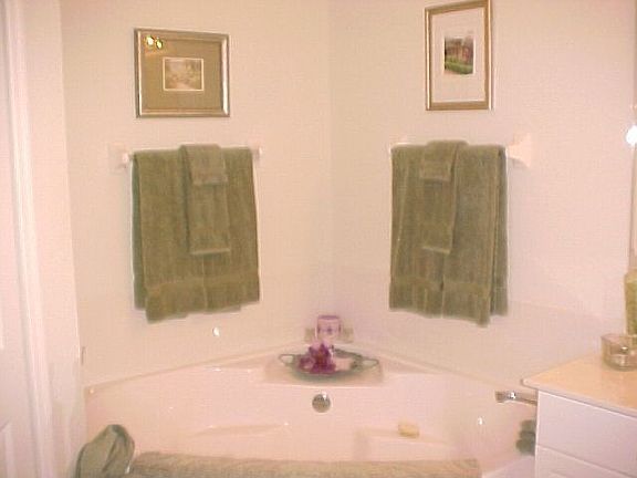 jacuzi  in master bath