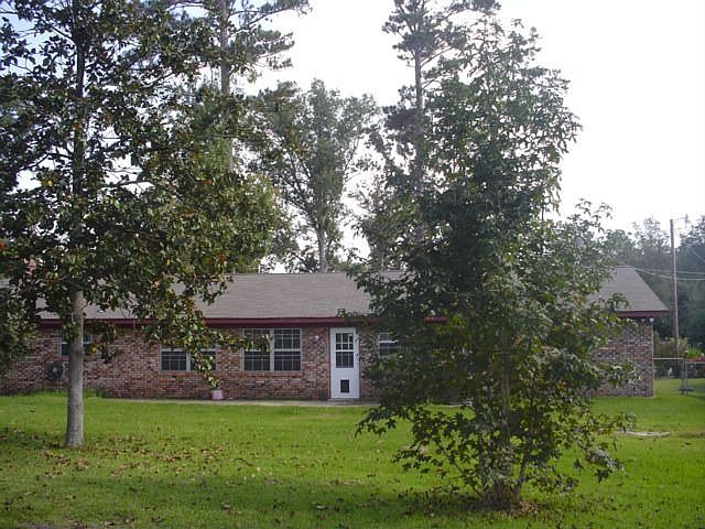 Back View