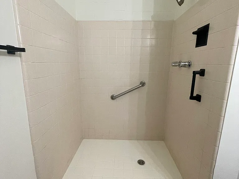 Primary Bathroom walk-in shower