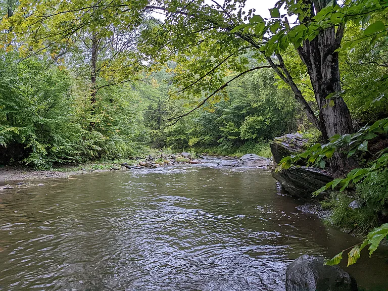 67 Creek Rd #3 — Photo 36