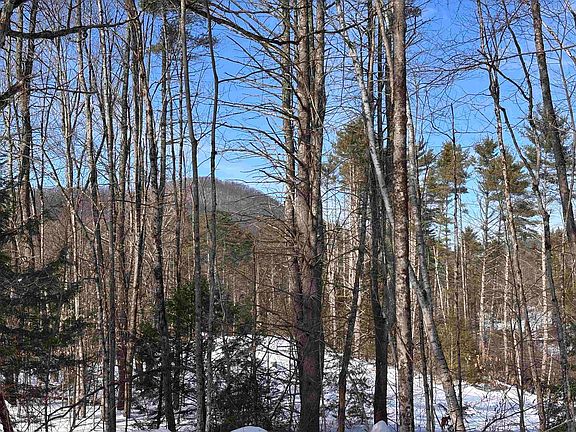 5th image of M409 L66 Old Turnpike Road