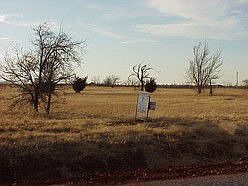 Streetview of Lots
