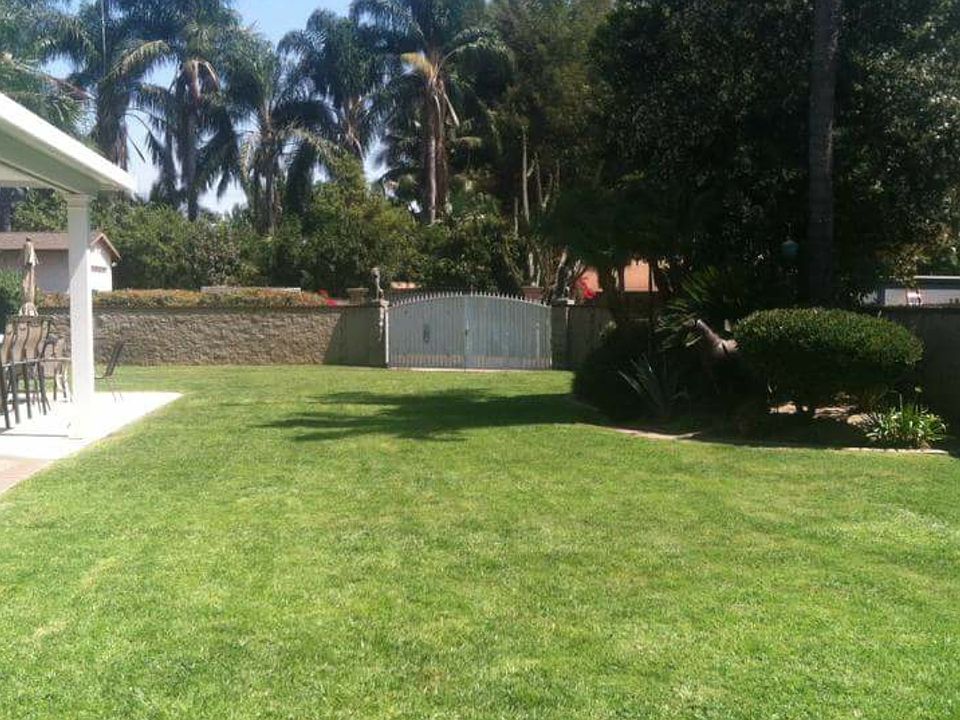 2nd image of 1241 S Almond Ave