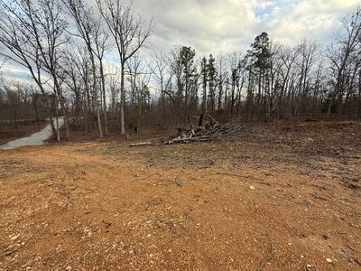 000 Tract D Vv Highway, Licking, MO, 65542