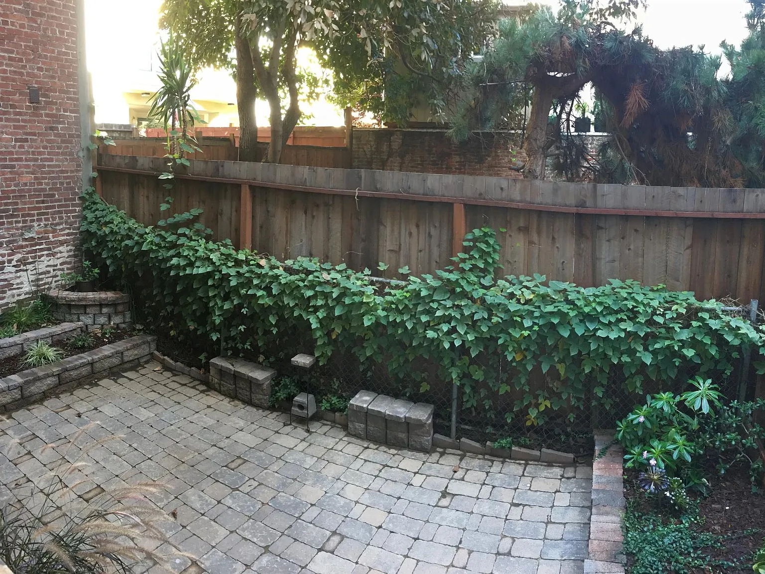 Studio, 375 sqft, $1,900 — Photo 4