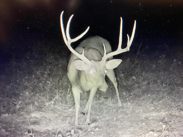 1 McDonald Rd, Lorman, MS 39096