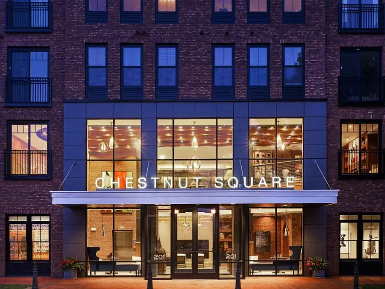 Chestnut Square — Photo 25