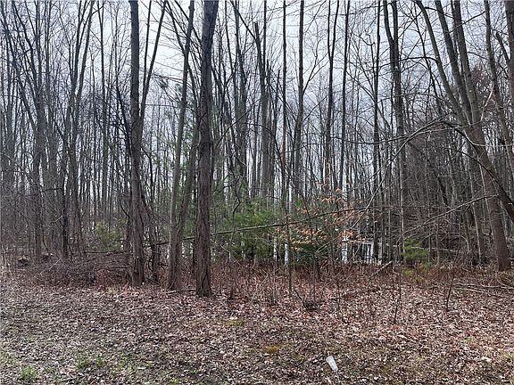 4th image of 0 Packwood Rd Lot 1