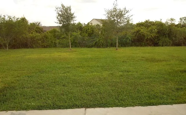 2363 Andrews Valley Dr — Photo 4