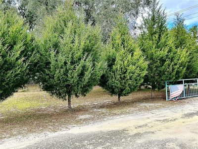 0 NW 60TH ST LOT 6, Chiefland, FL, 32626