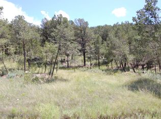 201 Escalante Dr, Ruidoso Downs, NM 88346