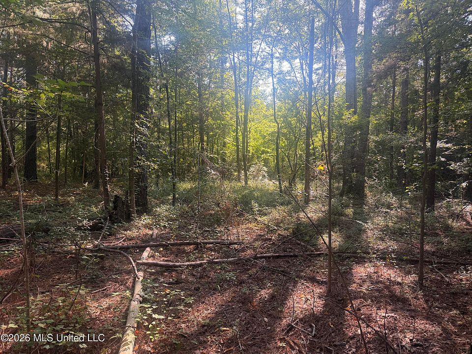 2nd image of 0 Mountain Creek Farm Rd