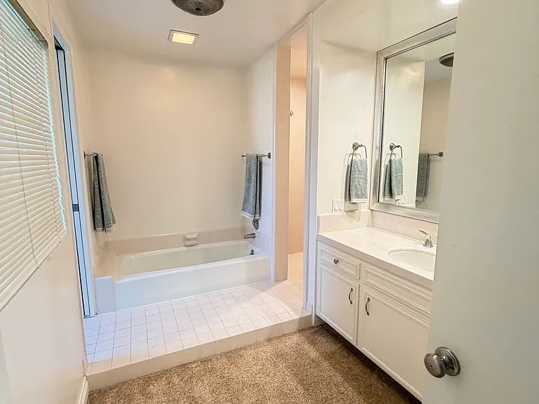 Primary bathroom with shower and recessed bathtub
