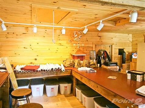 Track Lighting & Built Ins