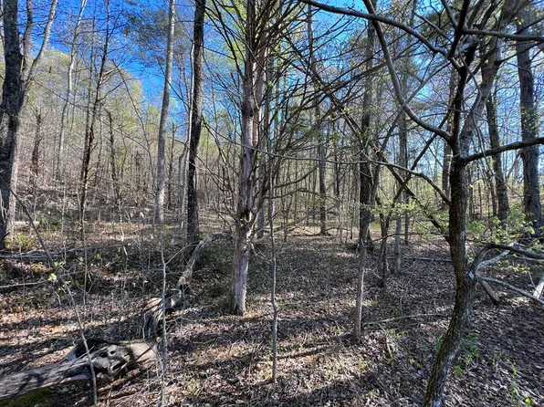 0 New Hope Rd, Gainesboro, TN 38562