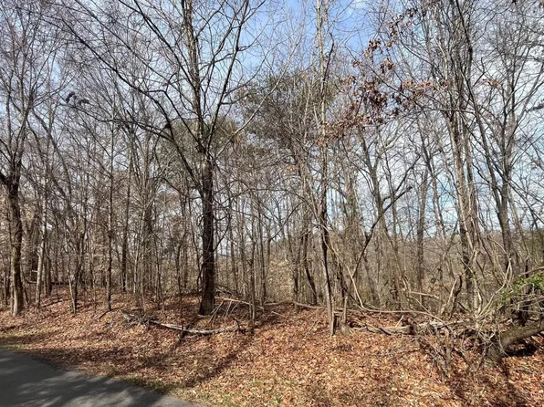 Mountain View Ln Lot 1101, White Pine, TN 37890
