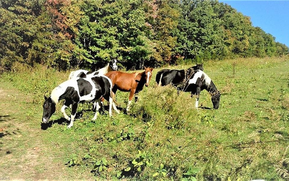 1st image of 323 Bear Hollow Ln