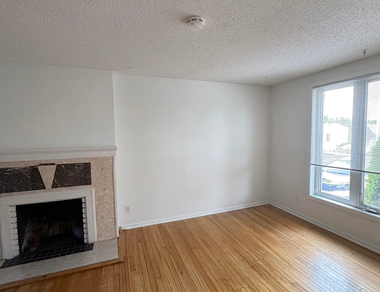 6 Frank Street — Photo 2