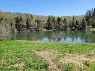 160 Ainslie Rd, Richfield Springs, NY 13439