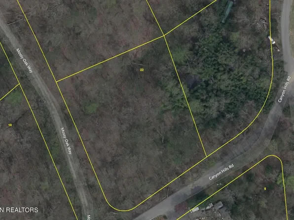 Canyon Hills Rd, Seymour, TN 37865