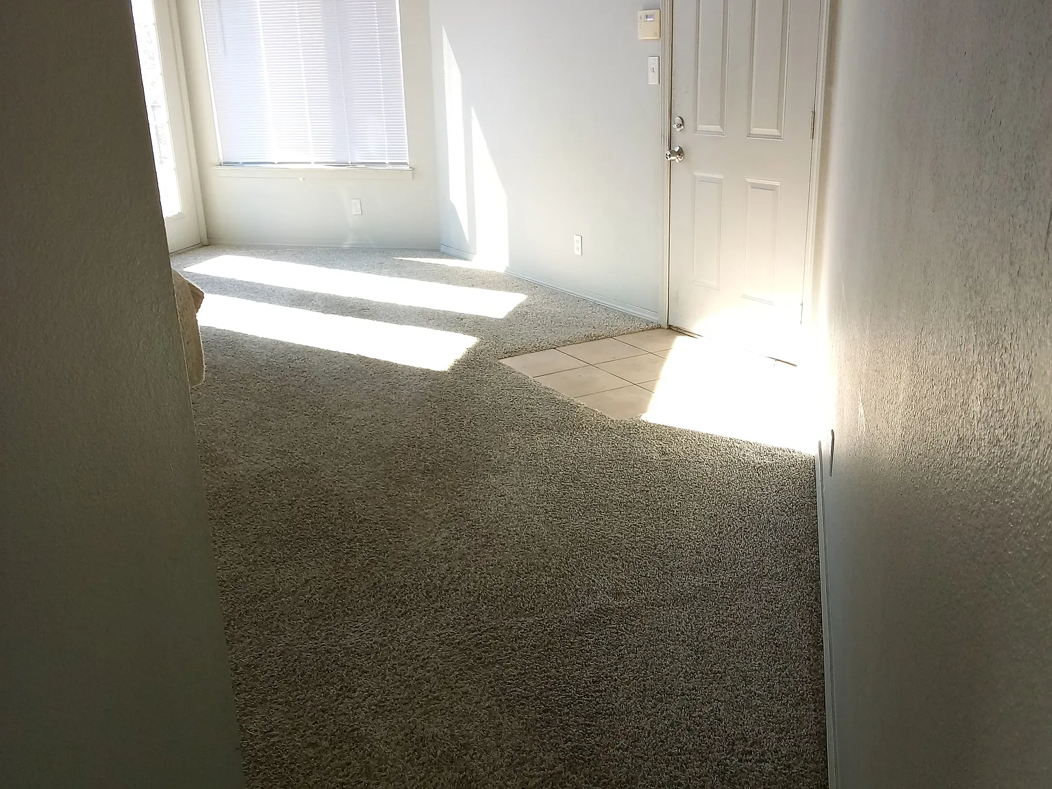2 bed, 1080 sqft, $1,150 — Photo 2