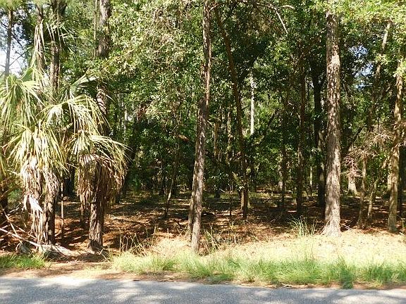 4th image of 8662 Palmetto Rd