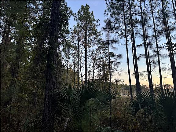 4th image of 357 Wood Stork Way